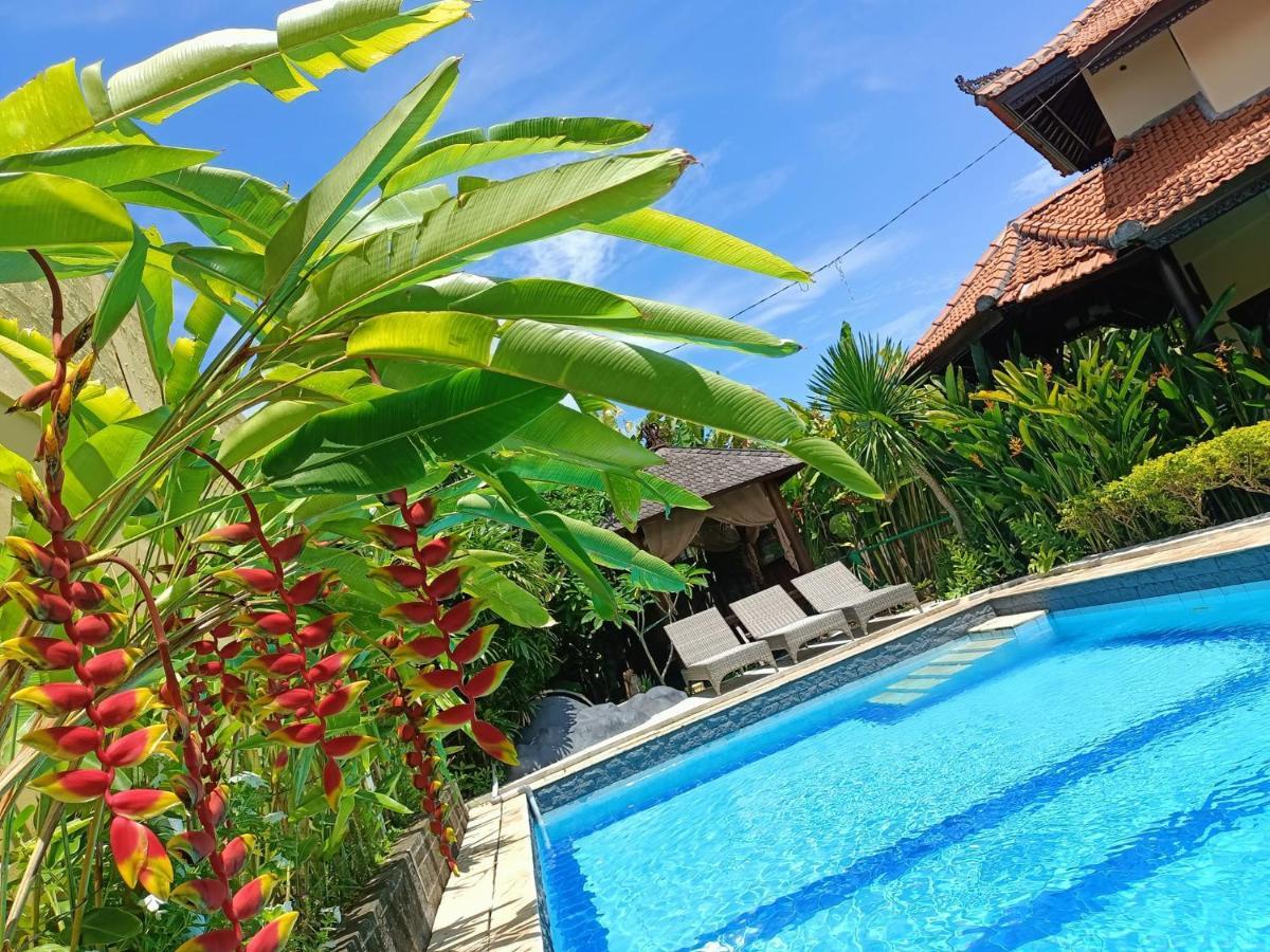 Villa Layang Bulan A Homey Guesthouse For Men Near The Beach In North Kuta 덴파사르 외부 사진